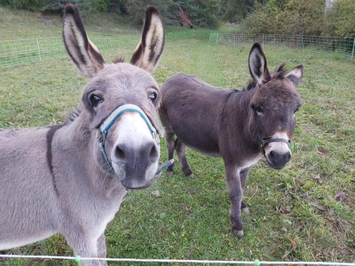 Holiday Accommodation Ubaye Valley