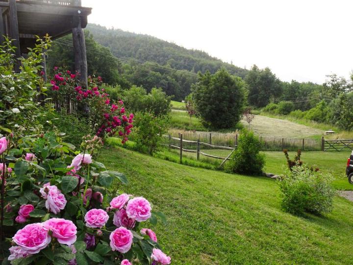 Chambres d'hôtes Vallée de L'Ubaye