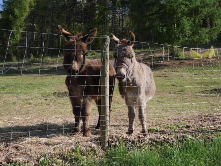 Holiday Accommodation Ubaye Valley