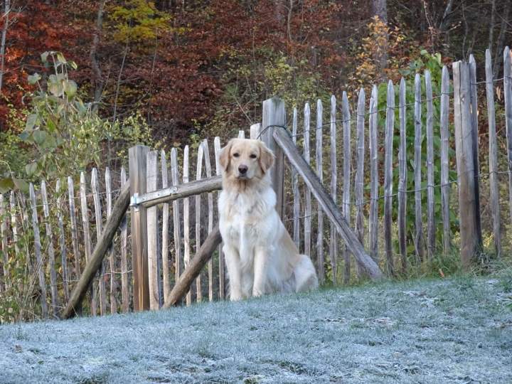 Chambres d'hôtes Vallée de L'Ubaye